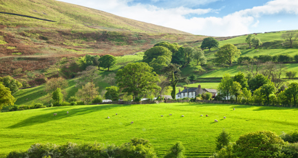 Delivering for rural and coastal businesses