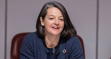 Financing the low-carbon economy: the variations of green