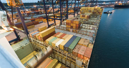Toolkit: how to boost your business’s resilience and spur global growth
