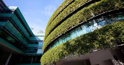 Your business checklist for innovating to be more green