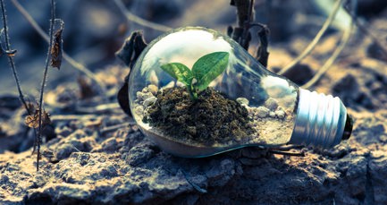 Future-ready businesses are trusted businesses