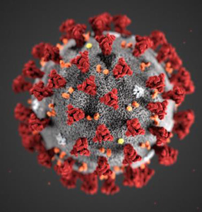 Coronavirus webinar: lessons from China