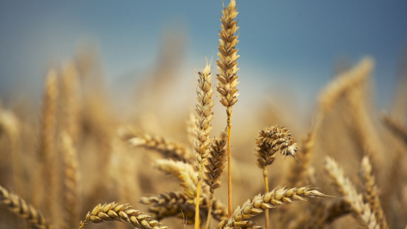 Decarbonising Supply Chains