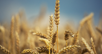 Decarbonising Supply Chains