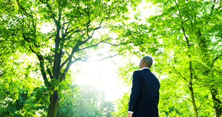 From carbon ambition to delivery