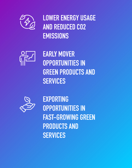 Seize The Moment Decarbonisation Infographic