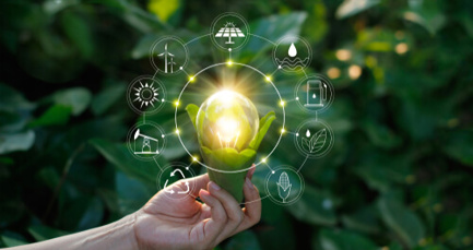 Race To Zero: how your business can drive the green revolution 