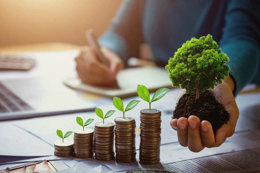 Take action in net zero