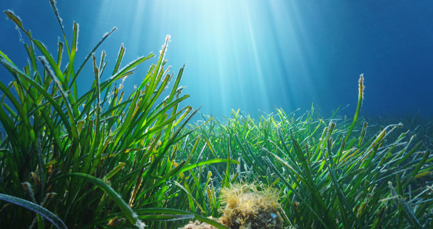 From seabed to space: making a difference to our planet