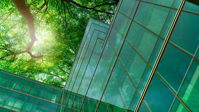 Why should business care about nature?