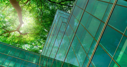 Mobilising organisation change towards net zero