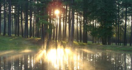 Toolkit: How to create a culture of sustainability in your business 