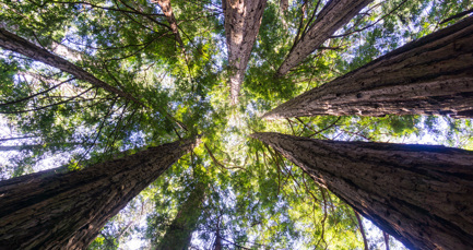 Is your company ready to save the planet?