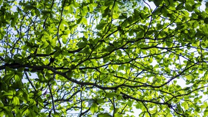 Green Day 2023: how does it affect your business?