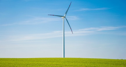 Climate transition plans: how do they matter to your business?