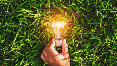 Be More Green: embedding a green innovation culture