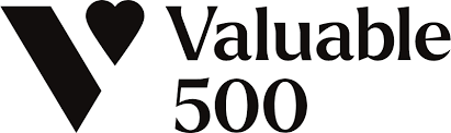 Valuable 500 